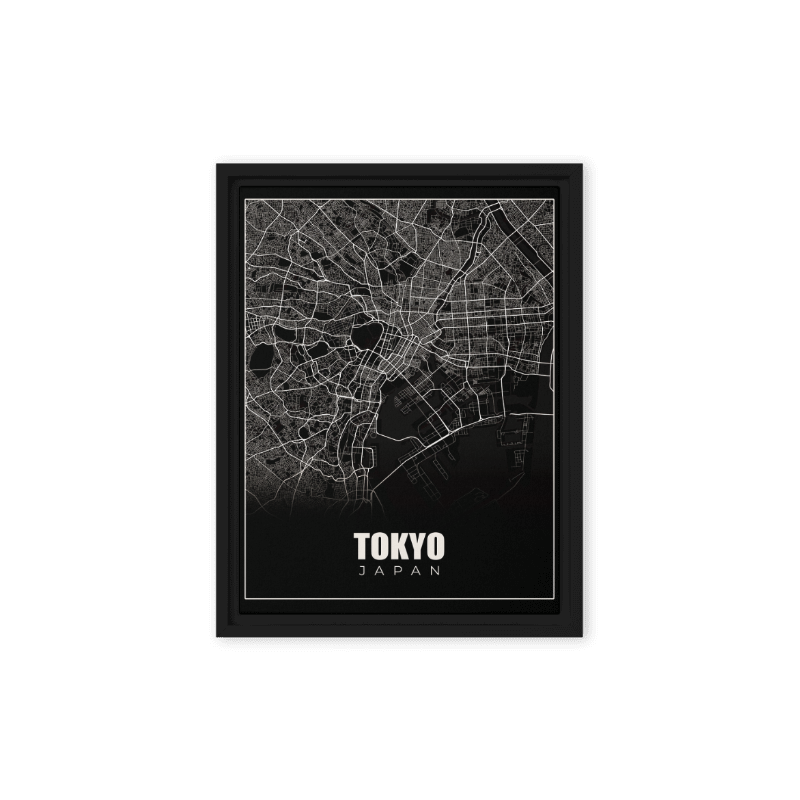 Tokyo Noir: A Bird's Eye Sketch