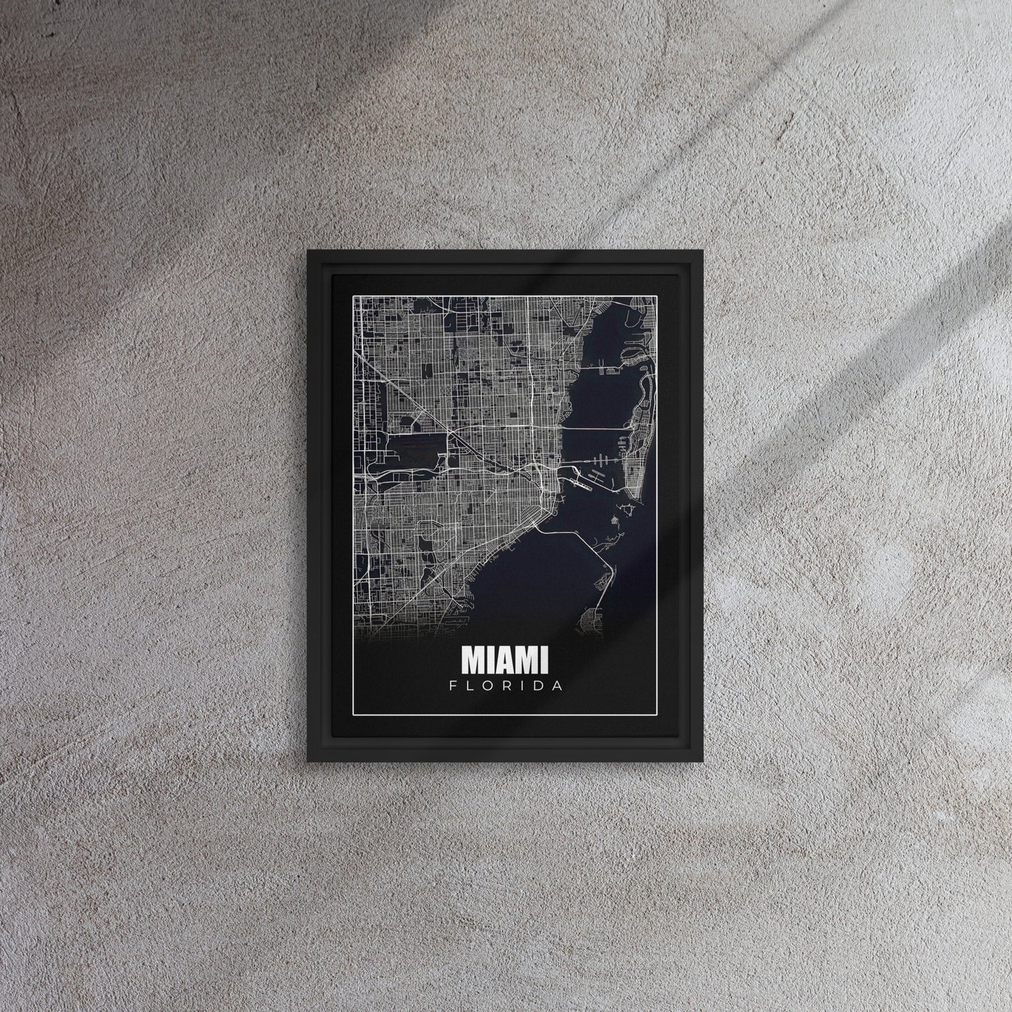 Monochrome Miami: A Bird's Eye Map
