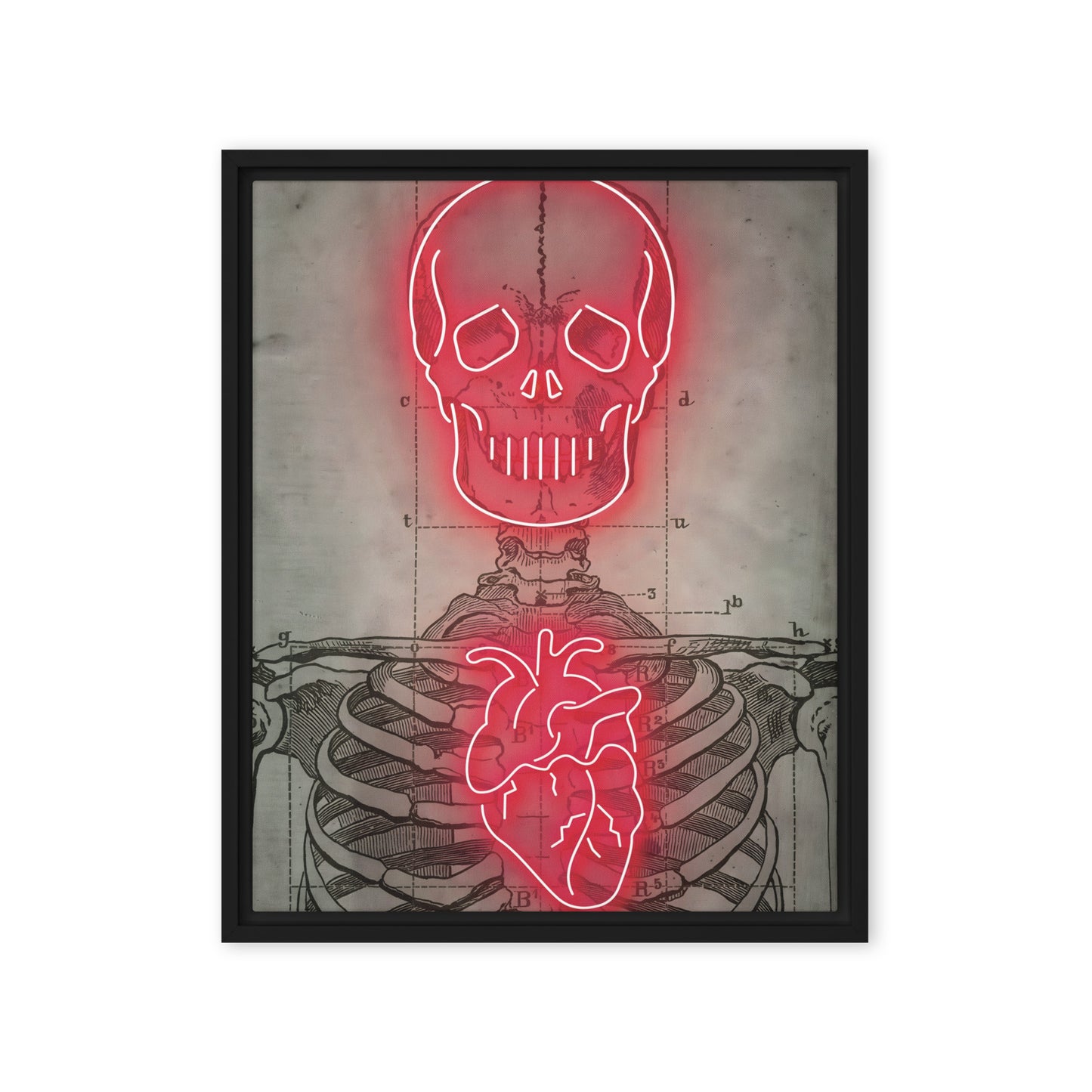 Neon Anatomy: Red-Lit Skeleton with Heart and Skull Highlights