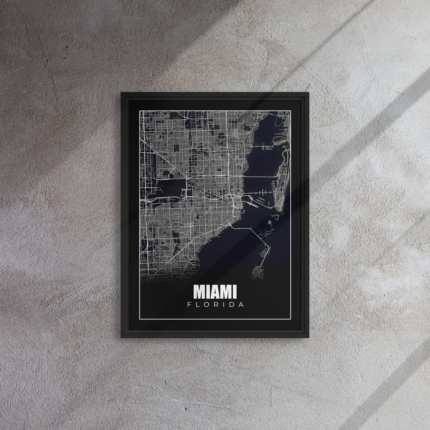 Monochrome Miami: A Bird's Eye Map