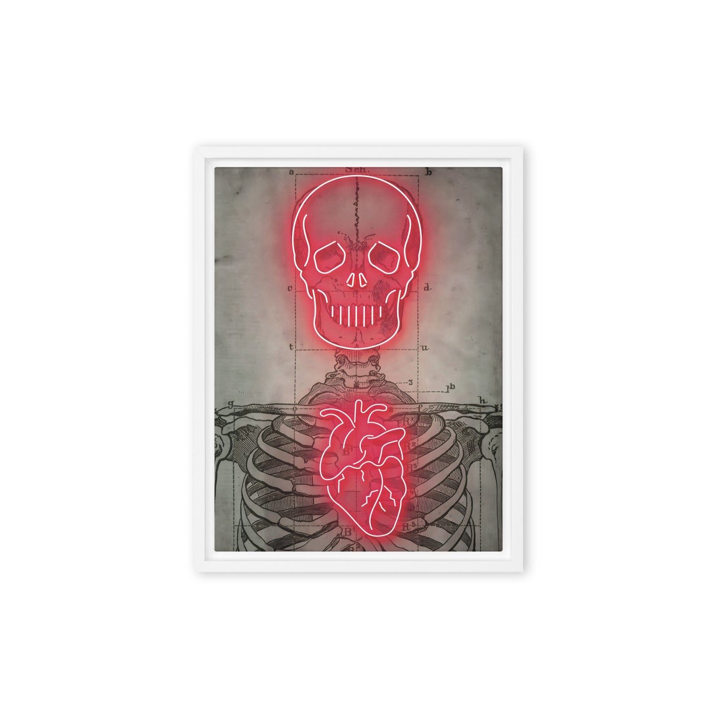 Neon Anatomy: Red-Lit Skeleton with Heart and Skull Highlights