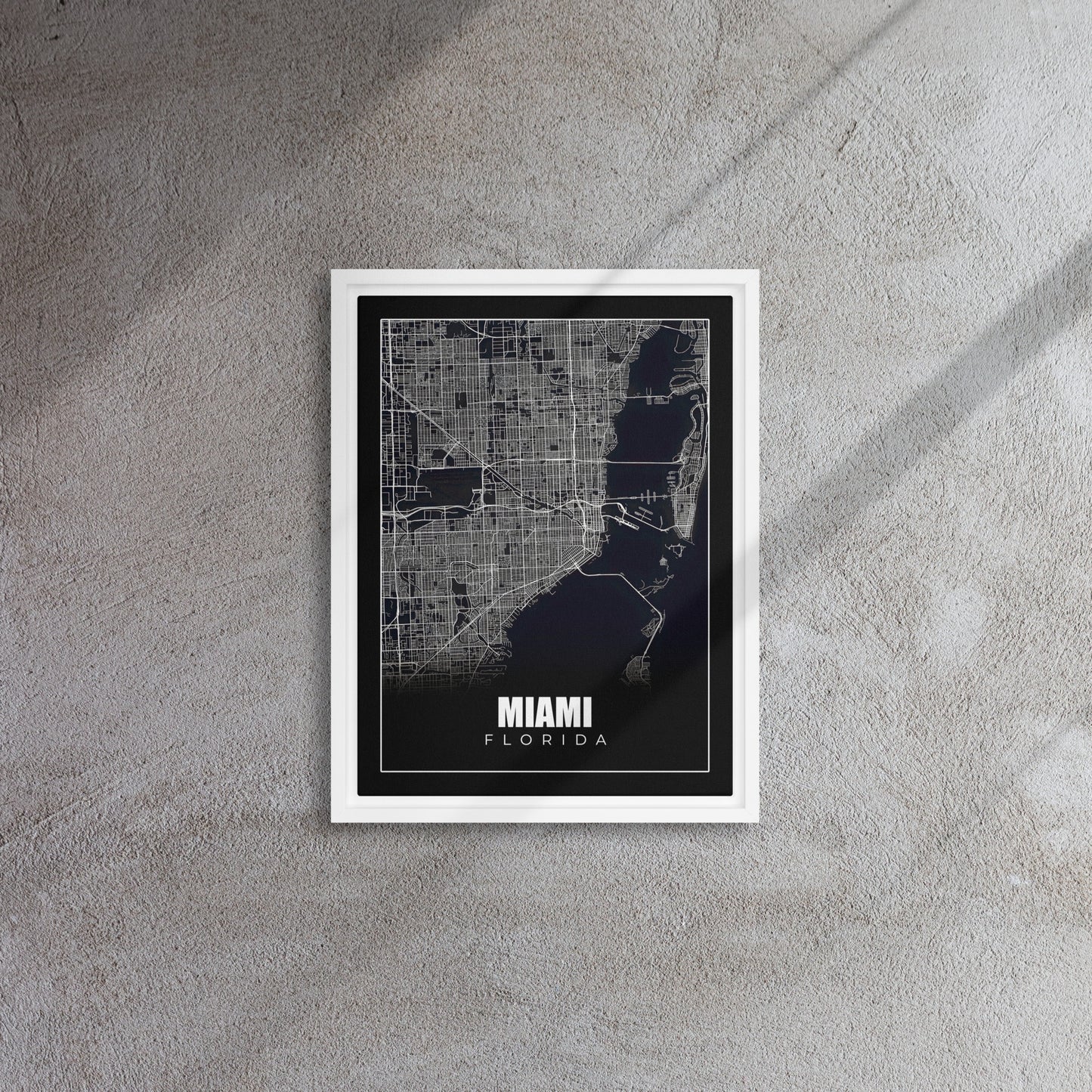 Monochrome Miami: A Bird's Eye Map