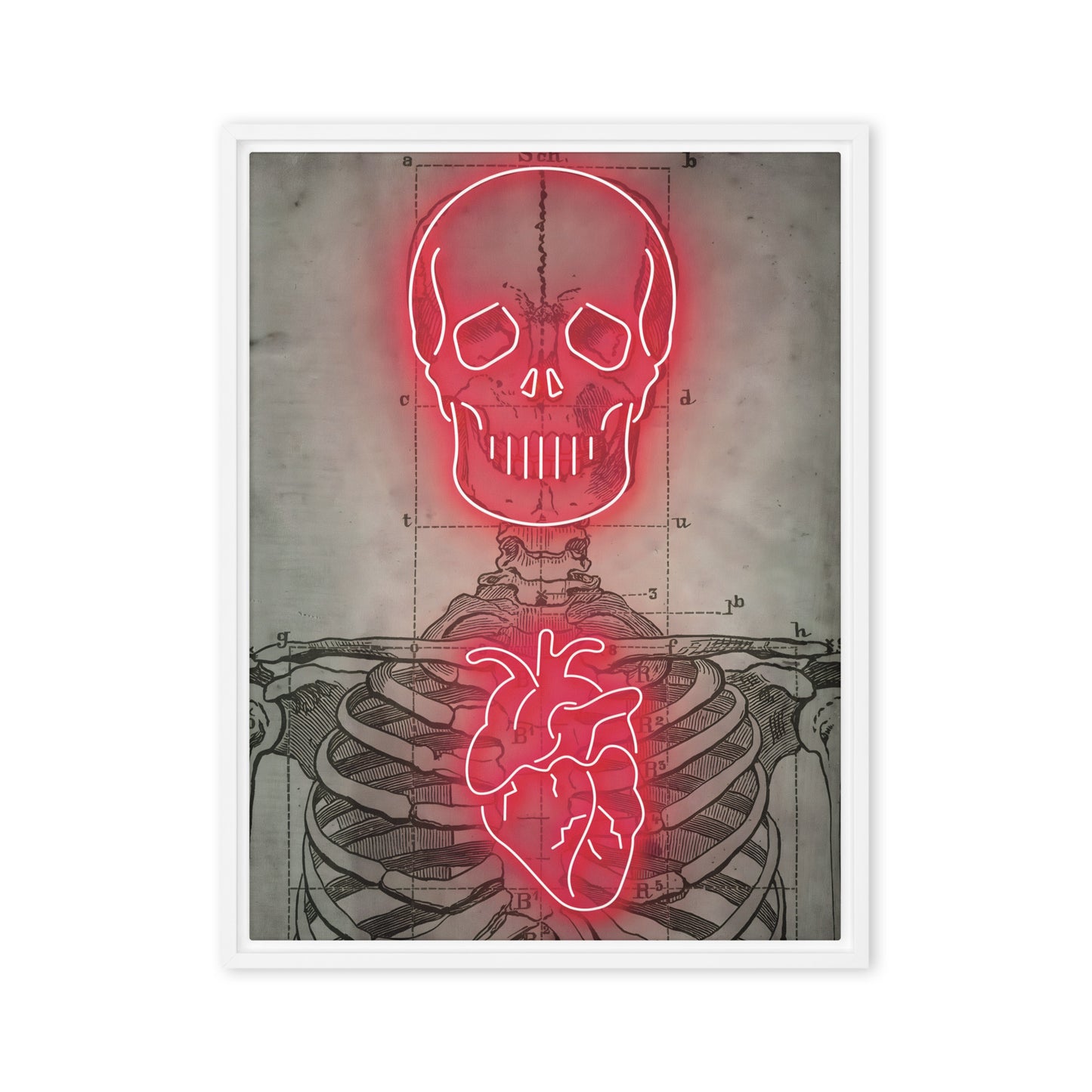 Neon Anatomy: Red-Lit Skeleton with Heart and Skull Highlights